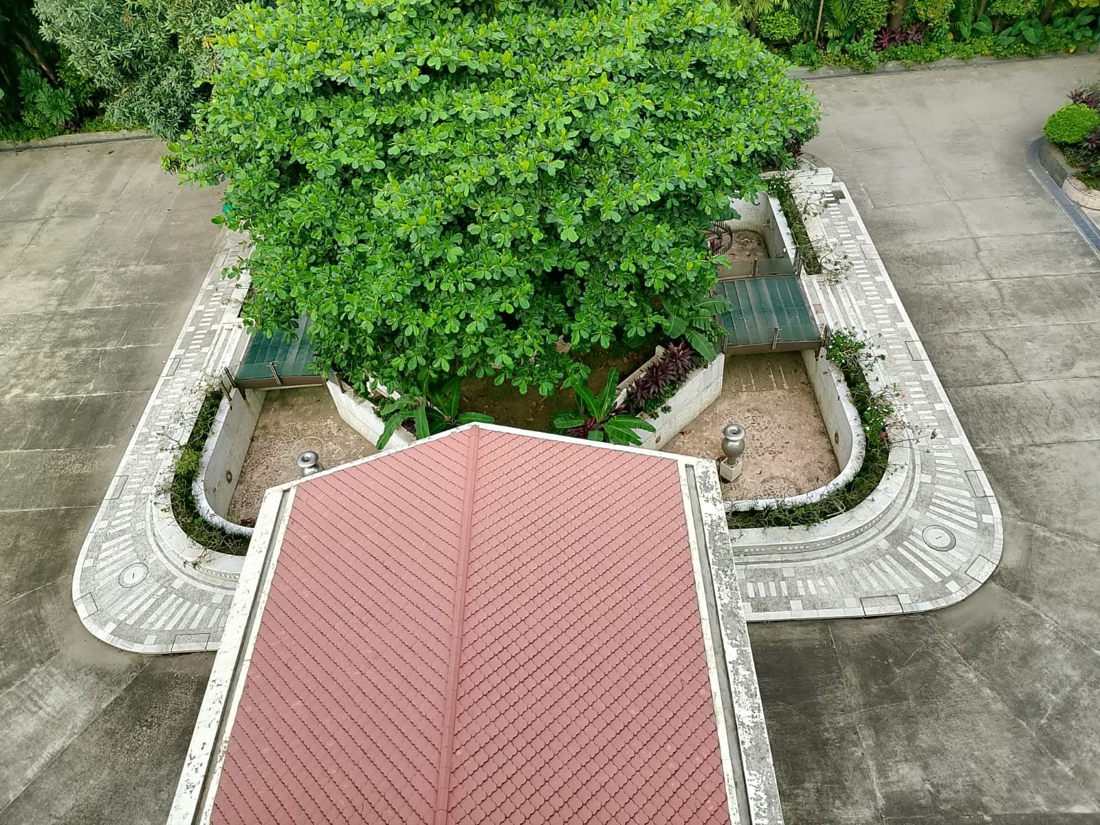 Aerial Rooftop Pavilion Tree at Bulbul Event Spaces